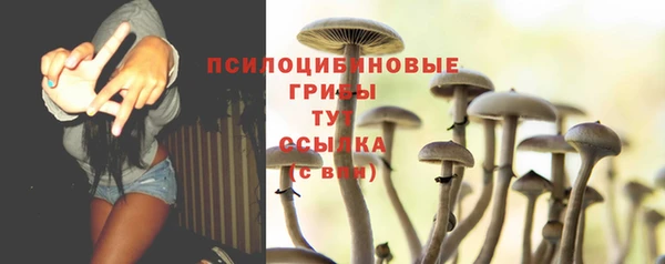 соль курить ск Богородицк