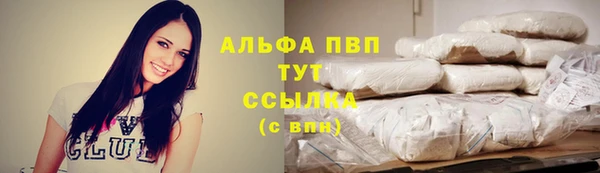 мескалин Богданович