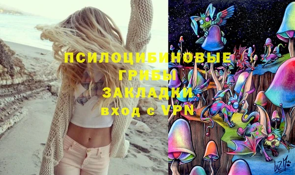 мескалин Богданович
