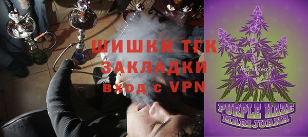 стаф Верея